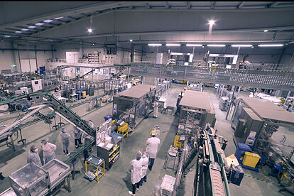 Automatización industrial: eficiencia y rentabilidad en la producción
